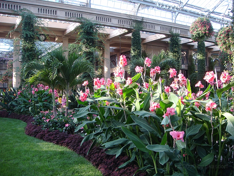 422 Longwood Gardens [2008 August 23].JPG - Longwood Gardens in Pennsylvania